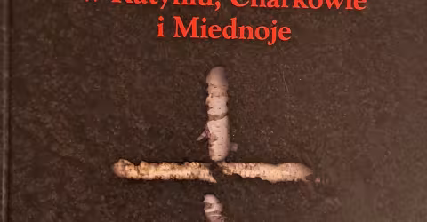 Czy jest to ich prawdziwa czy też TOLEROWANA bezsilność? 